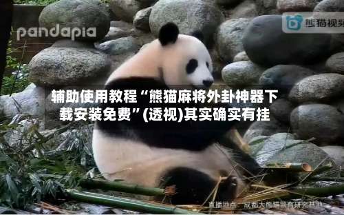 辅助使用教程“熊猫麻将外卦神器下载安装免费	”(透视)其实确实有挂-第2张图片