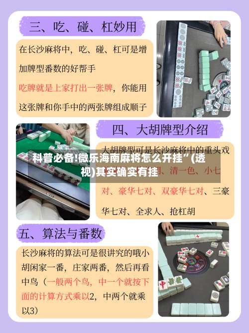 科普必备!微乐海南麻将怎么开挂”(透视)其实确实有挂-第1张图片
