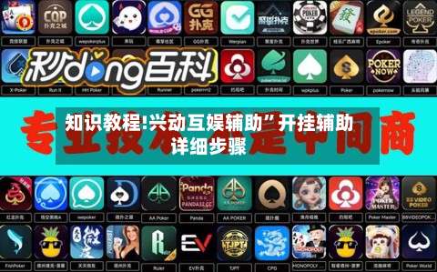 知识教程!兴动互娱辅助”开挂辅助详细步骤-第3张图片