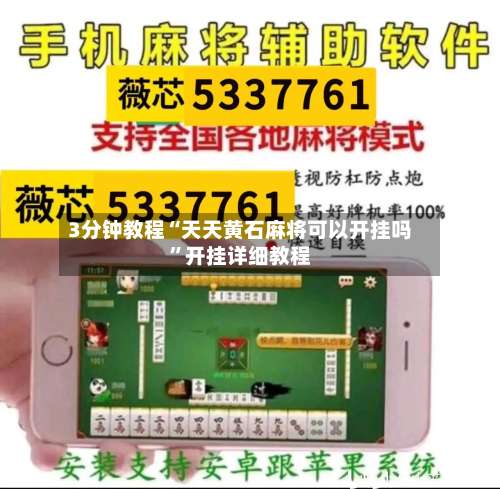 3分钟教程“天天黄石麻将可以开挂吗”开挂详细教程-第2张图片