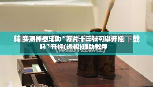 实测神器辅助“方片十三张可以开挂吗	”开挂(透视)辅助教程-第3张图片