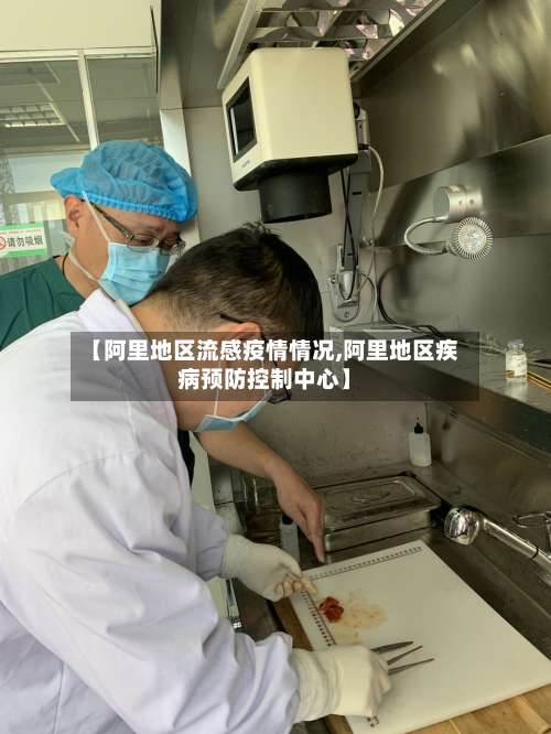 【阿里地区流感疫情情况,阿里地区疾病预防控制中心】-第1张图片